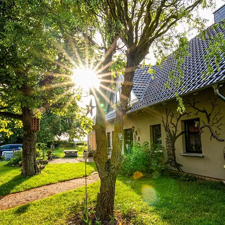 Apartamento Im Spoeckerhus Tribohm
